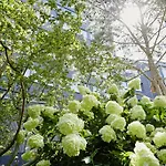 Отель Savoy